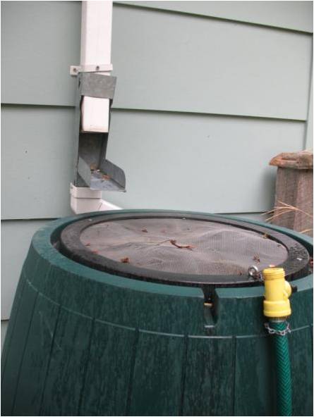 Diverter rain barrel 